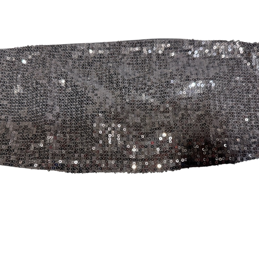 Express Silver bandeau tube top with Shimmering Sequins
